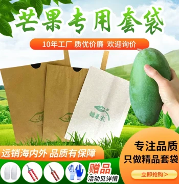 White Paper Fruit Bags for Mangoes - Waterproof, Bird-Proof, and Insect-Resistant for Kate, Ivory, and Jinhuang Varieties