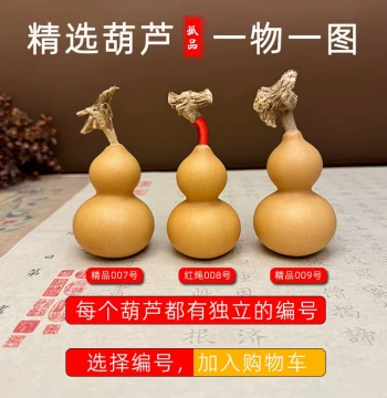 [One Item, One Photo] Premium Natural Plain Gourd for Hand Rolling, Display, and Hanging - Wenwan Collectible