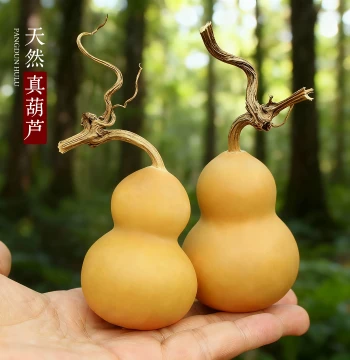 Natural Gourd - Chubby Hand-Rolled Collectible Mini Gourd - Authentic Small Ornament - Gourd Pendant and Handheld Piece
