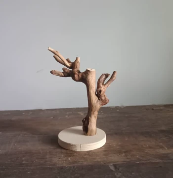 Dried Branch Decor - Natural Trunk and Driftwood Sculpture for Display Stands and Ornament Racks