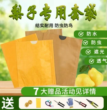 Specialized Paper Bags for Pears – Waterproof, Sunproof, and Pest-Resistant for Golden and Autumn Moon Pears