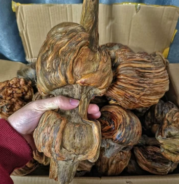 Pine Resin Amber Wood Natural Raw Weathered Wood Ornament - Earth Agarwood Collectible Hand Piece with Aged Material and High Oil Content