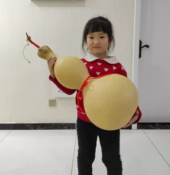 Extra-Large Natural Gourd Ornament for Living Room Decor - Handheld Wenwan Piece with Dragon Head for Wealth and Protection
