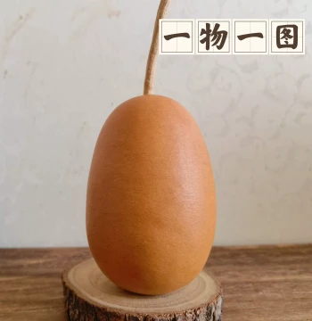 Unique Natural Winter Melon Gourd for Hand Play - Engraved and Pyrography Decorative Piece (One Item, One Photo)