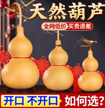 Natural Gourd Pendant with Dragon Head Finial, Opened Wood Gourd Ornament for Living Room or Office