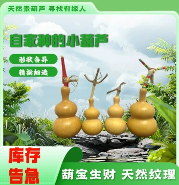 Unique Thick-Skinned Eight-Treasure Gourd Premium Natural Handheld Playpiece for Home and Office Decor (161-200)