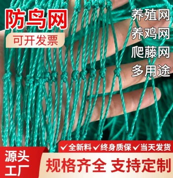 Anti-Bird Net for Orchards and Farming, Heavy-Duty Nylon Mesh for Greenhouses, Fish Ponds, Climbing Plants, and Poultry Protection