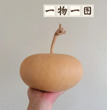 Unique Natural Gourd Ornament - Large Apple-Shaped Storage Jar with Pyrography Art, One Item Per Photo