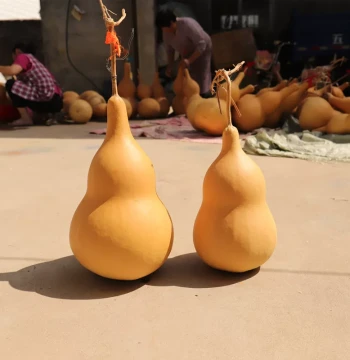 Natural Gourd Ornament with Thick Waist and Plump Shape - Home Decor Piece with Seeds and Stem Intact for Hand Play