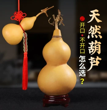 Natural Open Gourd Ornament, Hollow Seedless Decor for Desktop, Living Room, or Bedside