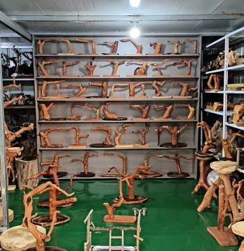 Live Stream Exclusive Purchase Link, Natural Peach Wood Bird Perch Stand for Bracelets and Collectibles, Natural Wood Color