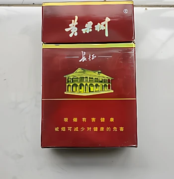 Rare Early Edition Small-Text 'Smoking Harms Health' Warning Vacuum Cigarette Case, 3D Stereo Cigarette Label (Cigarettes Not Sold)