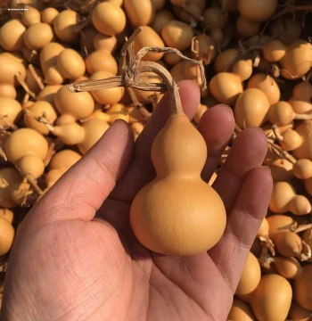 Small Handheld Gourd with 'Grass Gold' Patina, Eight Treasures Design, Premium Collectible Ornament and Pendant