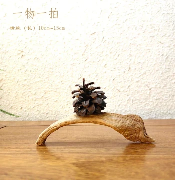 Millennium Poplar Weathered Wood Display Piece for Natural Zen Mini Landscapes, Creative Cultural Play, Jewelry Pairing, and Photo Base
