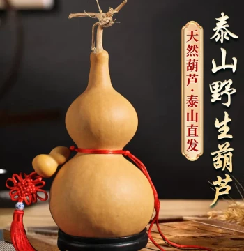 Natural Gourd Hanging Ornament, Large Door-to-Door Display Piece with Opening, Home Entryway & Bedroom Decor, Collectible Twisting Gourd with Dragon Head