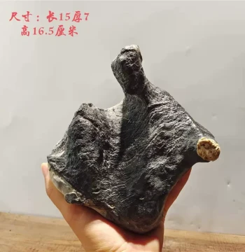 Natural Stone Lingbi Rock for Bonsai and Aquarium Landscaping - Turtle Pattern Stone, Root-Wrapped Stone, Flower Pot Decorative Material