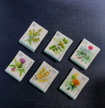 2023-20 Medicinal Plants (III) Special Stamp Complete Set - 5 Sets (30 Stamps), Discounted Mailing Stamps