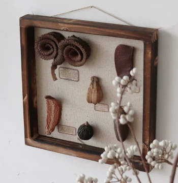 WULIHOME Japanese Vintage Seed Specimen Frame - 3D Dried Flower Wall Art for Cafes and Shops
