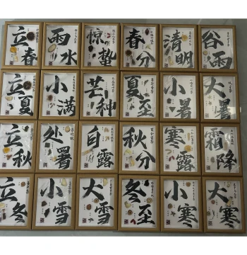 24-Grid Frame for Traditional Chinese Medicine Museum Herbal Specimen Display Board and Exhibition Props