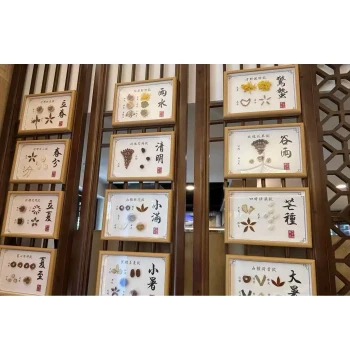 24-Grid Photo Frame for Traditional Chinese Medicine Museum - Herbal Specimen Display Board and Exhibition Props