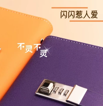 Fast Shipping 100-Sheet Portable Banknote Collection Album for Cash Storage and Commemorative Notes with Protective Sleeves
