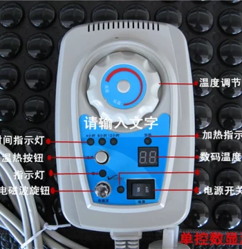 Temperature Controller for Xiuyan Jade and Germanium Stone Mattress, Dual/Single Zone Heating Control for Health Care Beds