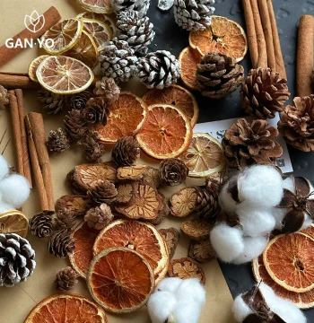 Pinecone, Wood Slice, and Acorn Craft Kit for DIY Plant Specimen Frames and Dried Flower Decor