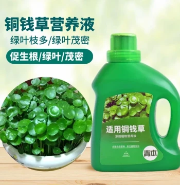 Specialized Nutrient Solution for Hydrocotyle (Money Plant), Household Flower Fertilizer, Universal for Potted Soil and Water Culture