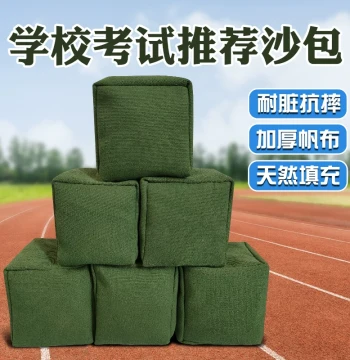 Bean Bags for Elementary Students and Kindergarteners - Large Throwing Sandbags for PE Classes and Adult Games