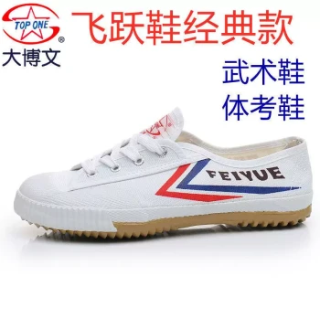 Shanghai Dawen Feiyue Martial Arts Shoes: Athletic Training Track Shoes, Tai Chi Footwear, Soft Sole Shaolin Kids Shoes for Men and Women