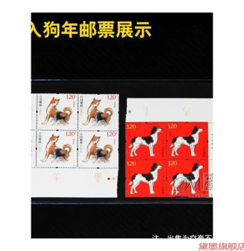 Currency Protection Sleeves - 110mm Wide Hard Plastic Cases for Bills and Stamps