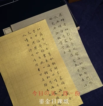 Qiu Ning Zhai Semi-Sized Wax-Dyed Gilded Paper - Daily Practice Square Grid 'Zhuang Yuan' Paper for Vertical Medium/Small Regular Script, Seal, and Clerical Calligraphy