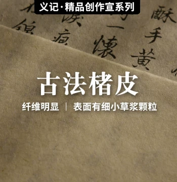 Yi Ji Xuan Handmade Broussonetia Bark Xuan Paper for Calligraphy and Painting
