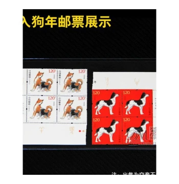 Commemorative Banknote and Coin Protective Hard Plastic Sleeves, 110mm Width, for Paper Money, Stamps, and RMB Collection