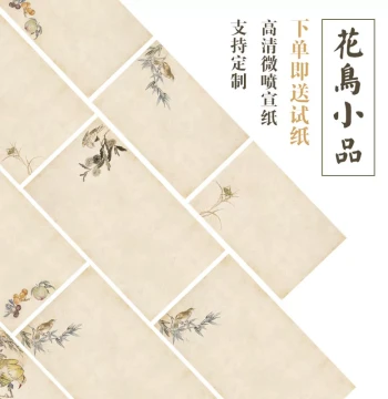 National Exhibition Premium Xuan Paper Flower-and-Bird Letter Paper Xiaokai Antique Spliced Album Leaves Micro-Jet Printing Semi to Fully Sized Essential for Submissions