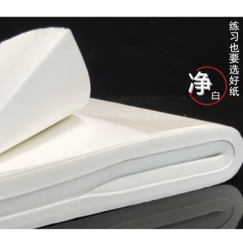 Handmade Xuan Paper with Plant Flowers and Leaves, Mica-Treated Sized Paper for Calligraphy Practice, Love Letters, and Rubbing Prints
