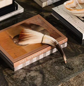 New Chinese Style Study Desk Ornament - Horn Brush Display for Showrooms and Home Offices