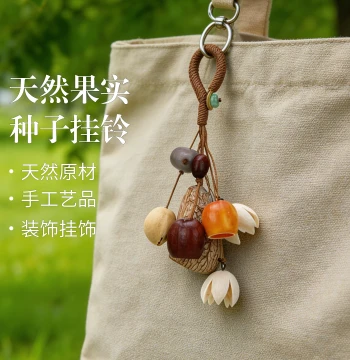 Natural Fruit Shell Seed Wind Chime Kit, Healing Plant Backpack Pendant DIY Material Pack