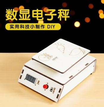 Handmade DIY Digital Scale Wooden Assembly Toy Model - Physics Science Mini Project, STEM Science Experiment