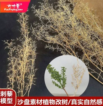Fangcunjing Miniature Model Sandbox Simulation Plants, Thorny Dried Branches DIY Materials for Micro-Landscape Scaping, Trees and Leaves