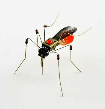 Elementary Science DIY Invention Kit: Mechanical Insect Project for Innovation Competitions