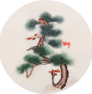 Suzhou Embroidery DIY Kit: Self-Stitch Material Pack for Beginners, Longevity Character and Pine Tree Patterns
