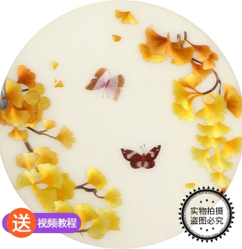 Suzhou Embroidery DIY Kit for Beginners – Traditional Style with Ginkgo and Butterfly Stitches