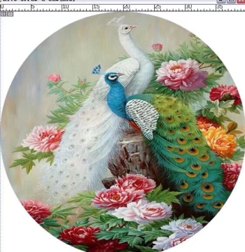 Suzhou Embroidery DIY Kit Round Peacock 50CM X 50CM Peony Lotus etc.