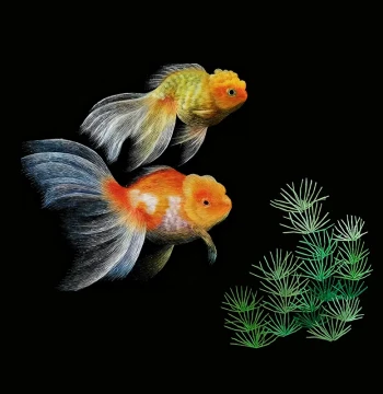 Su Embroidery DIY Kit: Goldfish and Aquatic Plants Design with Pre-Printed Stitches - Self-Learning Embroidery Material Pack