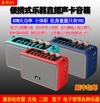 Lanyin Q12 Outdoor Speaker for Electric Wind Instruments, Saxophones, Electric Guitars, Singing, Erhu, Flutes, and Hulusi, Dedicated Instrument Speaker