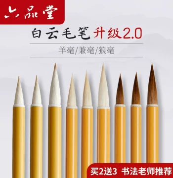 Liupintang Large White Cloud Mixed-Hair Brush Set for Students, Correct Posture Calligraphy Practice Kit for Beginners and Adults