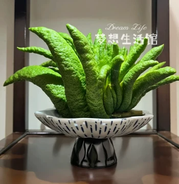 Bergamot Display Tray, Ornamental Flower Pot, Citron Flower Vessel, Chinese Retro-Style Vase