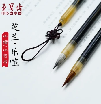 Rongbaozhai Zhilan Lexuan Small Regular Script Brush Set - Wolf/Mixed/Goat Hair for Beginners, Includes Copybook and Slender Gold Style Practice Tools
