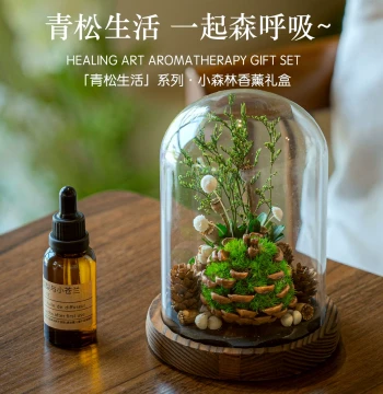 Little Forest Aroma Birthday Gift for Women, Diffuser with Desktop Greenery, Creative Handmade Plant Aromatherapy Gift Box